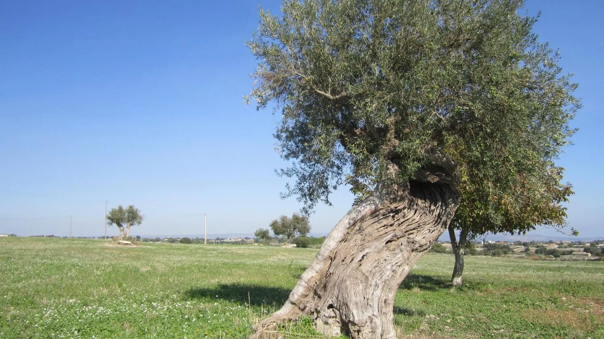 Farm stay Agriturismo Il Granaio Hotel & Spa Modica